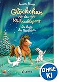 Glöckchen, das Weihnachtspony (Band 3) - Die Magie des Nordlichts: Weihnachtsgeschichte für Kinder ab 8 Jahre